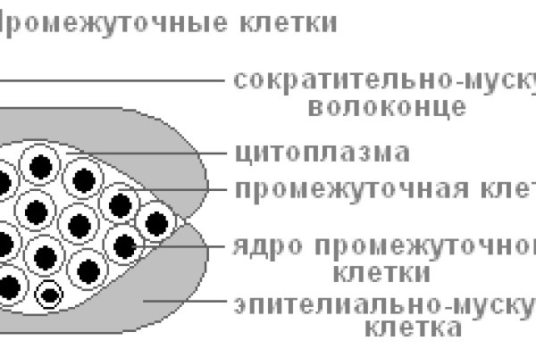 Не могу зайти на кракен