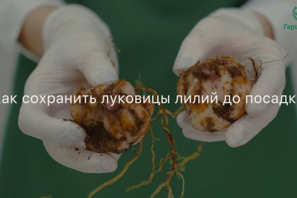 Как зайти на кракен с компа