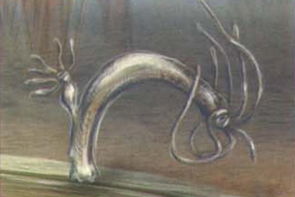 Kra32cc