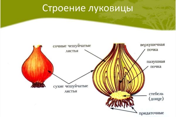 Купить наркотики москва