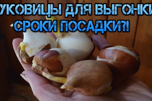 Магазины наркотиков