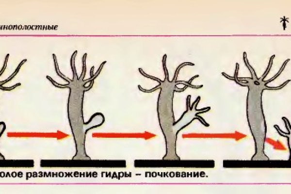 Что продают на сайте кракен