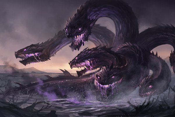 Kraken place