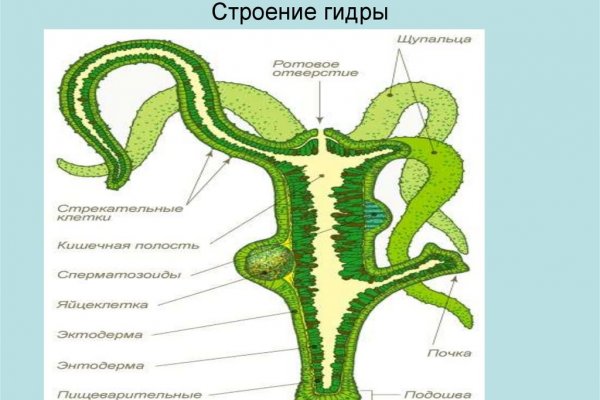 Кракен зеркало орион