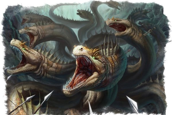 Kraken 6at