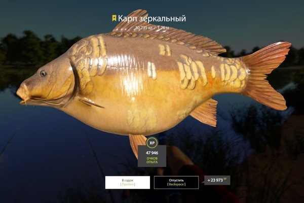 Что продают на сайте кракен