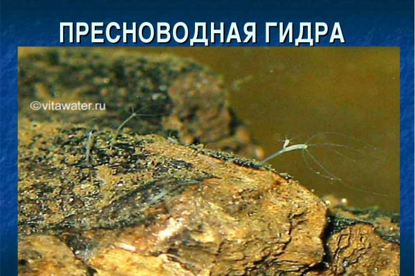 Список сайтов даркнета